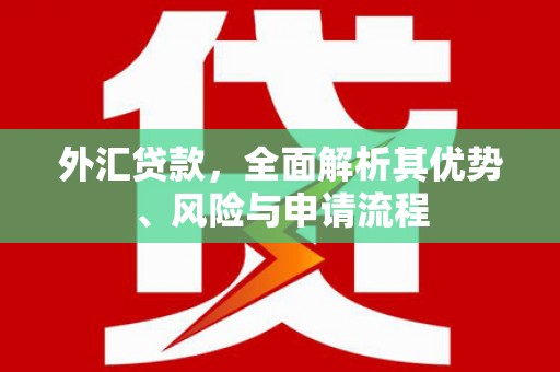 鄂托克前旗外汇贷款，全面解析其优势、风险与申请流程