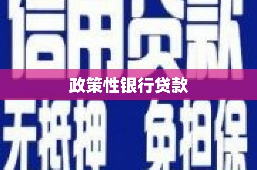 鄂托克前旗政策性银行贷款