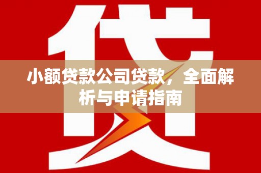 鄂托克前旗小额贷款公司贷款，全面解析与申请指南