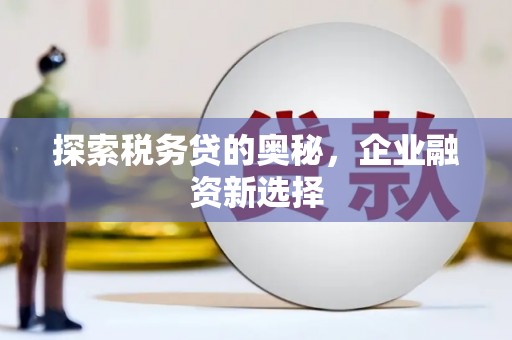 鄂托克前旗探索税务贷的奥秘，企业融资新选择
