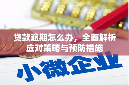 鄂托克前旗贷款逾期怎么办，全面解析应对策略与预防措施