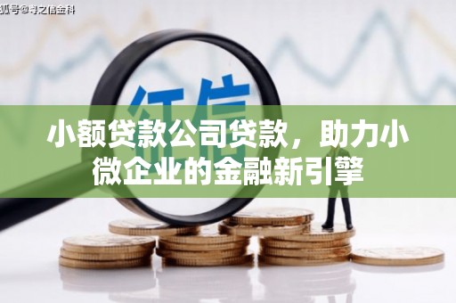 鄂托克前旗小额贷款公司贷款，助力小微企业的金融新引擎