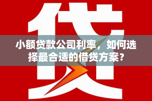 鄂托克前旗小额贷款公司利率，如何选择最合适的借贷方案？
