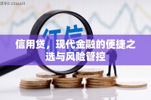 鄂托克前旗信用贷，现代金融的便捷之选与风险管控