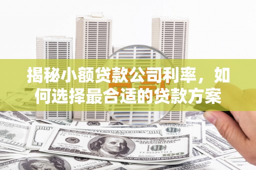 鄂托克前旗揭秘小额贷款公司利率，如何选择最合适的贷款方案