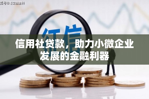 鄂托克前旗信用社贷款，助力小微企业发展的金融利器