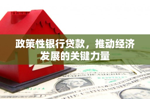 鄂托克前旗政策性银行贷款，推动经济发展的关键力量