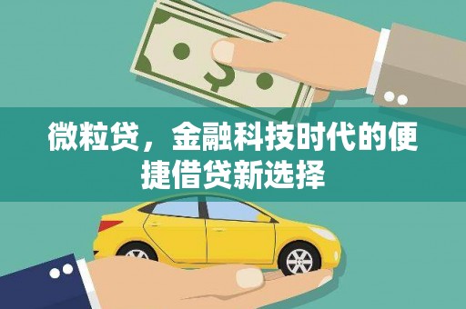 鄂托克前旗微粒贷，金融科技时代的便捷借贷新选择