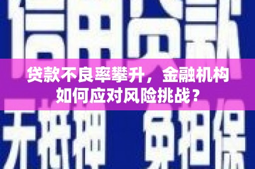 鄂托克前旗贷款不良率攀升，金融机构如何应对风险挑战？