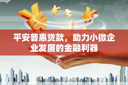 鄂托克前旗平安普惠贷款，助力小微企业发展的金融利器