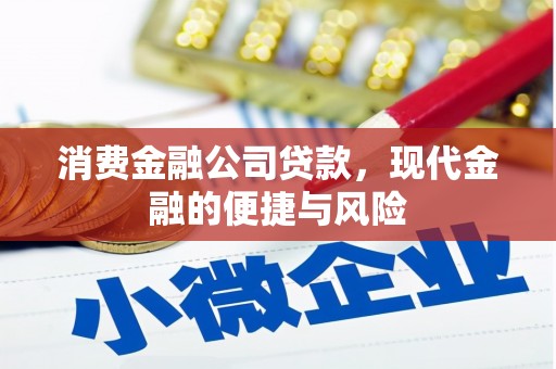 鄂托克前旗消费金融公司贷款，现代金融的便捷与风险
