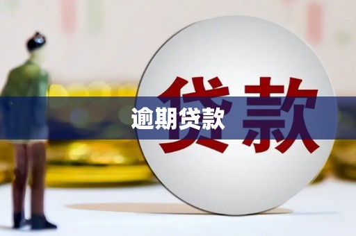 鄂托克前旗逾期贷款